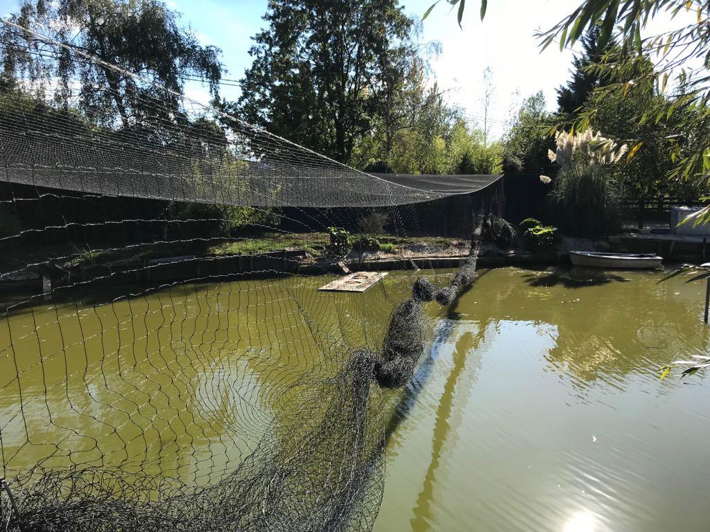 Pond Netting Farm and Country Fencing